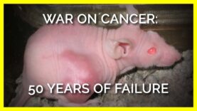 War on Cancer – 50-Years of Failure
