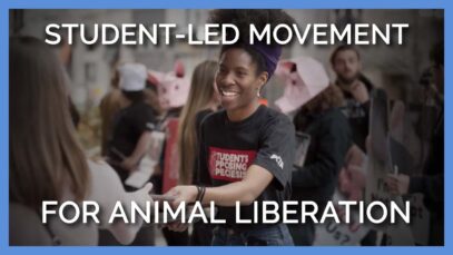 What is Students Opposing Speciesism (SOS)?