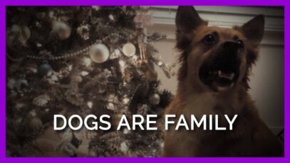 Why Dogs Need to Live Inside During Winter (And All the Time)