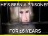 Beamish Has Been a Prisoner for 16 Years