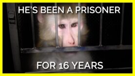 Beamish Has Been a Prisoner for 16 Years