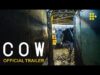 COW | Official Trailer | In UK Cinemas January 14 & On MUBI February 11