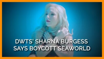 ‘Dancing With the Stars’ Pro Sharna Burgess Calls Out SeaWorld