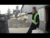 Meat Companies Plead Guilty After Exposé Shows Chickens Stomped, Torn Apart