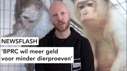 NEWSFLASH: BPRC wil meer geld voor minder dierproeven