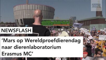NEWSFLASH: Mars op Wereldproefdierendag naar dierenlaboratorium Erasmus MC