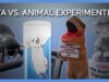 PETA vs. Animal Experimenters