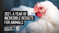 229 Million Animals Impacted in 2021!