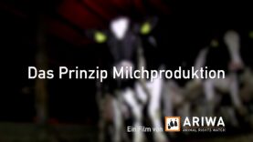 ARIWA – Das Prinzip Milchproduktion