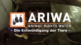 ARIWA - Die Entwürdigung der Tiere