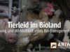 ARIWA - Tierleid im Bioland / Werbung & Wirklichkeit eines Bio-Erzeugerverbands