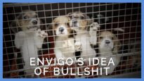 Envigo’s Idea of “Bullshit”