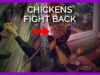 ‘Fight the Bite’: PETA Joins ‘Chicken Wars’ With New Super Bowl Commercial