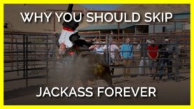 Jackass Forever Puts More Animals Than Humans at Risk