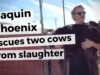 Joaquin Phoenix RESCUES two cows from slaughter after Academy Awards