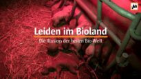 Leiden im Bioland – Die Illusion der heilen Bio-Welt [2019]