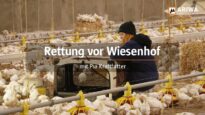 Rettung vor Wiesenhof – mit @Pia Kraftfutter
