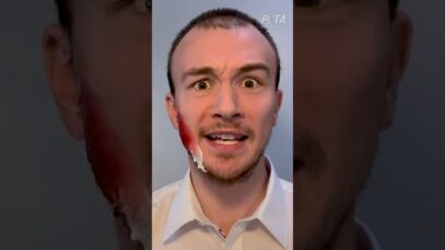 Was a Badger Killed for Your Makeup, Paint, or Shaving Brush?