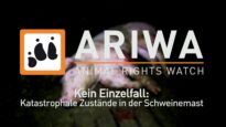 ARIWA – Kein Einzelfall: katastrophale Zustaende in der Schweinemast