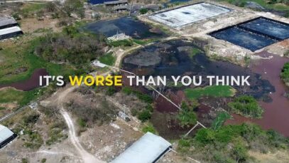 Drone Pilot Shares His Story: Meat Industry Is WORSE Than You Think