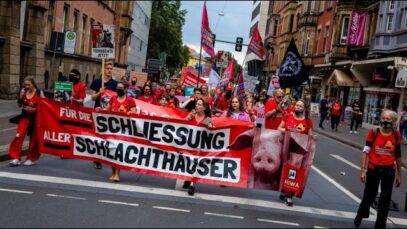 Im Sommer auf die Straße: Für die Schließung aller Schlachthäuser!