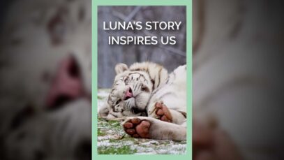 Luna's Story Inspires Us