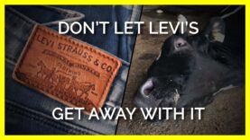 Tell Levi’s to Ditch Leather for World Water Day
