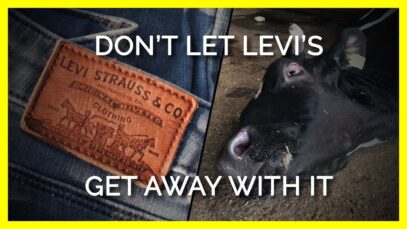Tell Levi’s to Ditch Leather for World Water Day