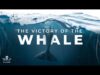 The Victory of the Whale – Official Video