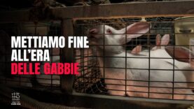 VIETIAMO LE GABBIE negli allevamenti