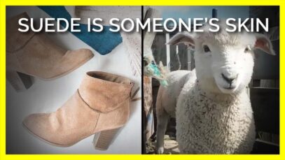 What’s Wrong With Suede?