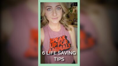 6 Life Saving Tips.
