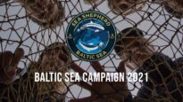 Baltic Sea Campaign 2021 | Recovery of Ghost nets in the Baltic Sea | SEA SHEPHERD