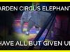 Carden Circus Elephants Have All But Given Up