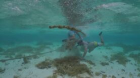 Cocos Keeling Islands Clean-up 2020: Day One