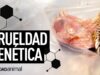 ¿CÓMO SE PRODUCE LA CARNE DE POLLO? Lo que NO te enseñan los anuncios de tv