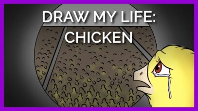 Draw My Life: Hen’s Life in the Egg Industry