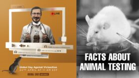 Interview with Dr Kinikoglu about Animal Testing