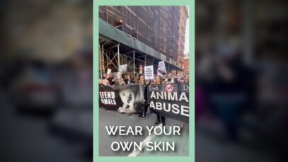 NYC Activists March for Animals Used in Fashion