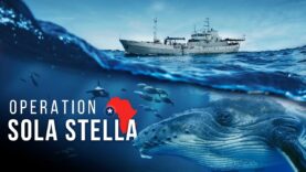 Operation Sola Stella 2022 - Protecting Liberia's Water from Illegal Fishing