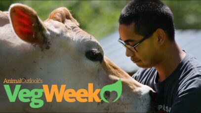 5 Minutes That Could Change Your Life – Animal Outlook’s VegWeek