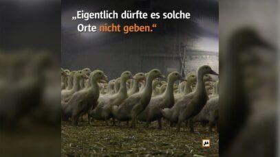 #AktivistInnengedanken – „Eigentlich dürfte es solche Orte nicht geben.“