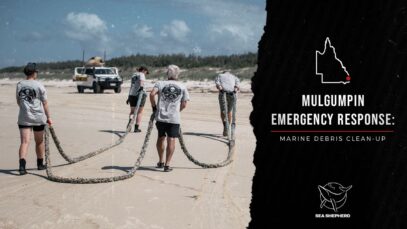 An update from our Mulgumpin Emergency Response: Marine Debris Clean-up