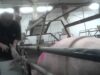 Animal Outlook Investigates: Cruelty Exposed at Iowa Factory Farm and Hormel Supplier