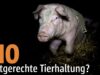 BIO = artgerechte Tierhaltung? // Animal Rights Watch