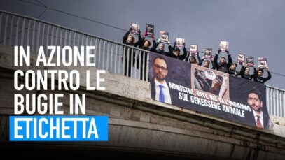 Bugie in etichetta: siamo entrati in azione per fermarle!