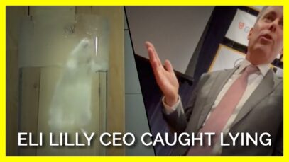 Eli Lilly CEO Caught Lying About an Animal Experiments
