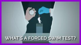 Eli Lilly Refuses to Ban the Bogus Forced Swim Test