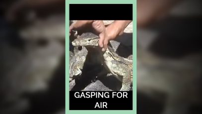 Gasping for Air