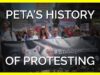 How Years of PETA Protests Have Made Changes for Animals